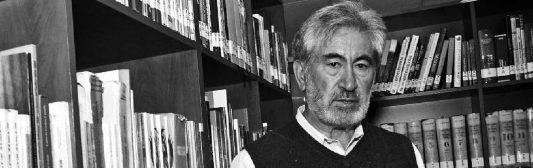 Ir al blog del autor_anuncio